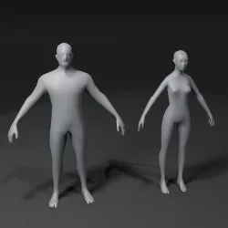 Male and Female Body Base Mesh 3D Model 1000 Polygons Low-poly 3D model