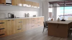 Modern cuisine 3D model