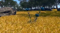 Nature Location Design Cinema4D 3D model