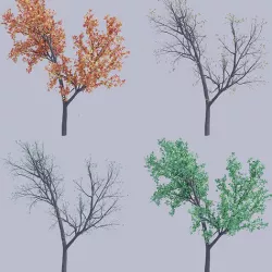  Oak tree change of seasons 3D model