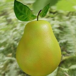 Pear fruit 3D model