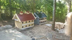pigeon coop 3D model