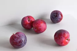 Plum 003 3D model