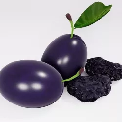 plum fruit 3D model