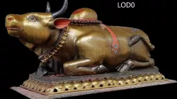Scanned Golden Ox - LOD - Nepal heritage  Low-poly 3D model