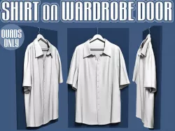 Shirt on wardrobe door 3D model
