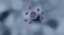 Stem Cell 3d model 3D model