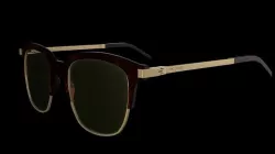 Sunglasses 3D model
