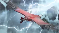 Toruk Makto Ikran from Avatar 3D model