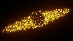 Vortex Particles SFX  3D model