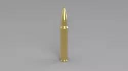 .300 Ruger Compact Magnum (.300 RCM)