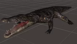 A Crocodile realistic 3d model 3D model