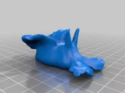Anapsidea