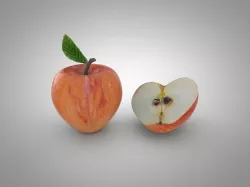 Apple 3D model