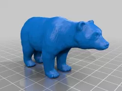 Bear