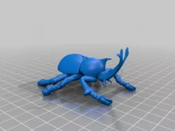 Beetle