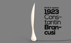 BIRD IN SPACE