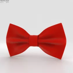 Bow Tie 3D model