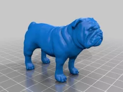 Bulldog