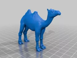 Camel