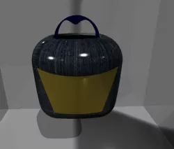 Carry Bag