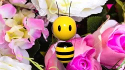 cartoon-style Robot Bee 3D model