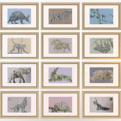 Charlotte Morgan Wildlife Book Covers 3D model
