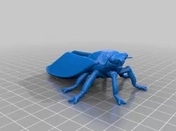 Cicada