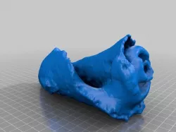 Conch Shell with MultiScan