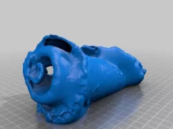 Conch Shell Without MultiScan