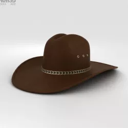 Cowboy Hat 3D model