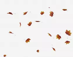 Falling Leaves Animated Low-poly  3D model