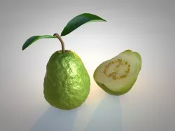 Guava 3D model