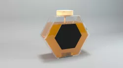 Honey pot 3D model