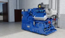 Industrial gas engine