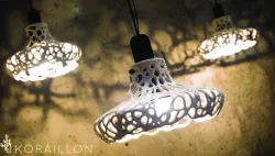 Koraillon Light the Way Entry