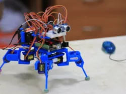 Mini quadruped hull