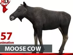 Moose cow Low-poly  3D model