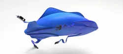 Pea shaped bag