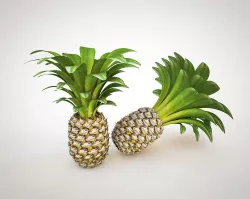 Pineapple 3D model