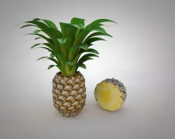 Pineapple half 3D model