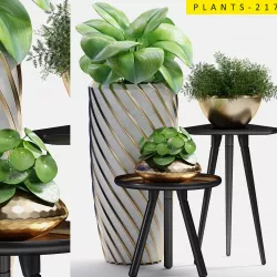 PLANTS 217 3D model