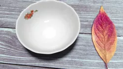 Plate 3D model