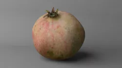 Pomegranate fruit Low-poly  3D model