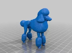 Poodle
