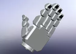 Prosthetic Hand