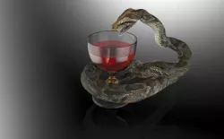 Python and cup