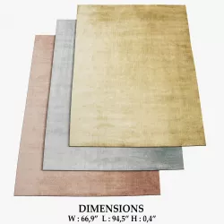 Simplicity Rugs 242 3D model