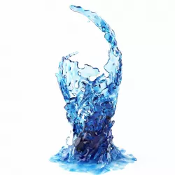 Splash 6 3D model
