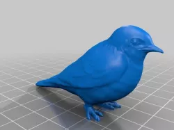 Swallow